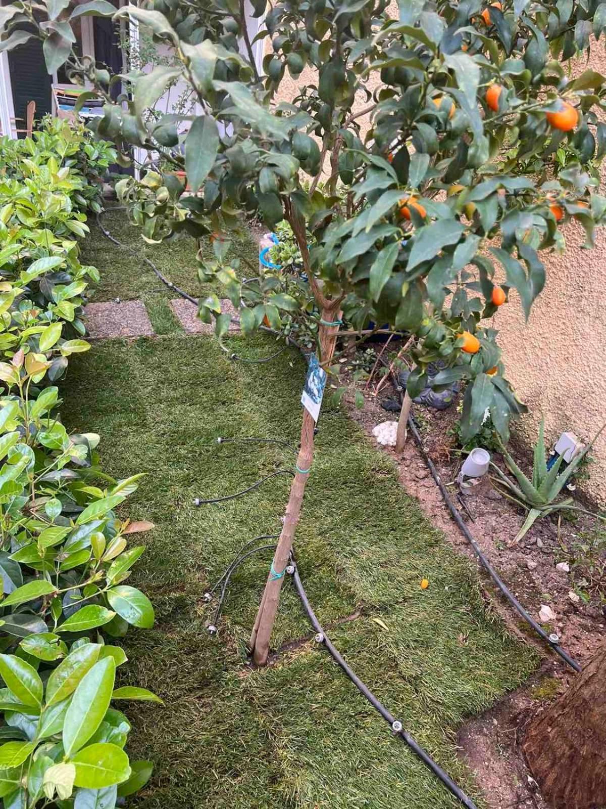 Τhe Hidden Garden Appartement Corfu  Buitenkant foto