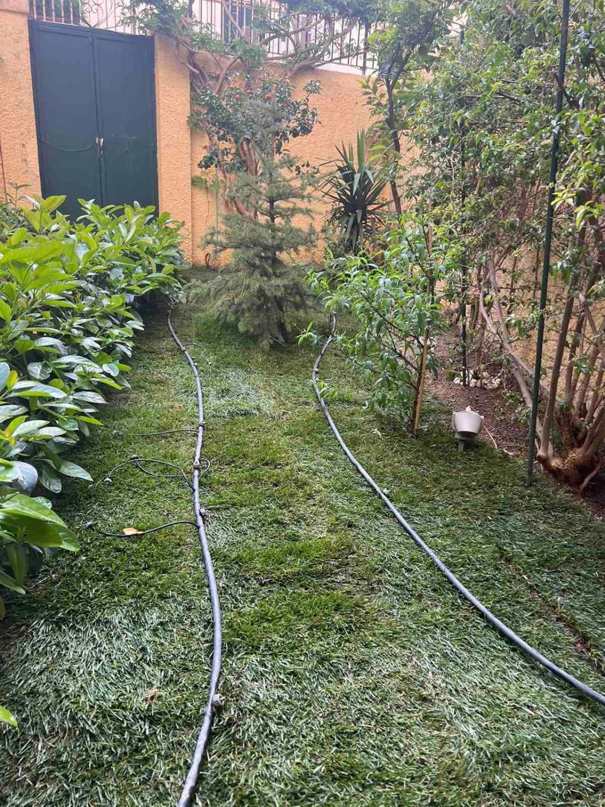 Τhe Hidden Garden Appartement Corfu  Buitenkant foto