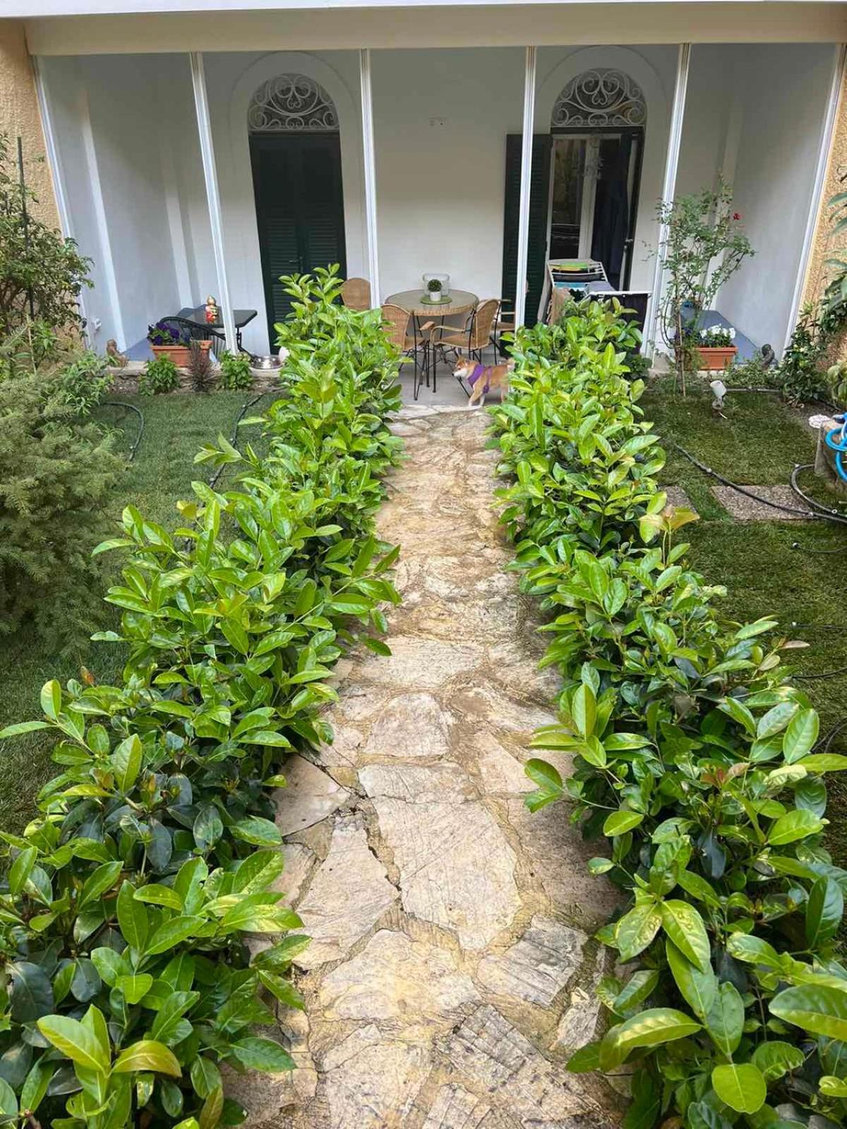Τhe Hidden Garden Appartement Corfu  Buitenkant foto